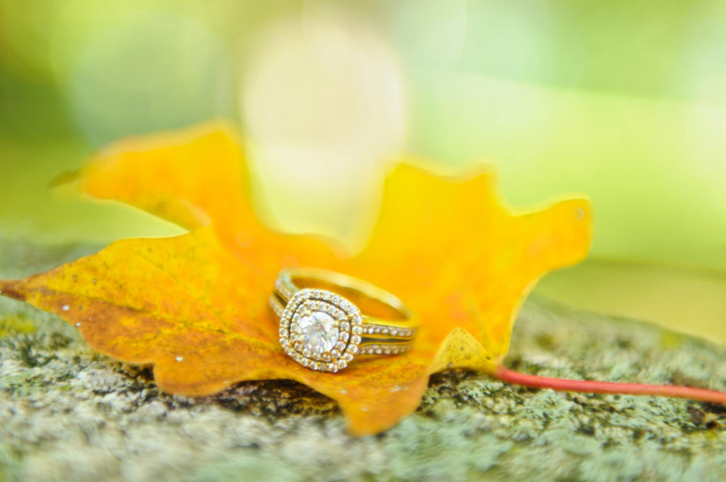 Wedding ring on leaf in Minnesota