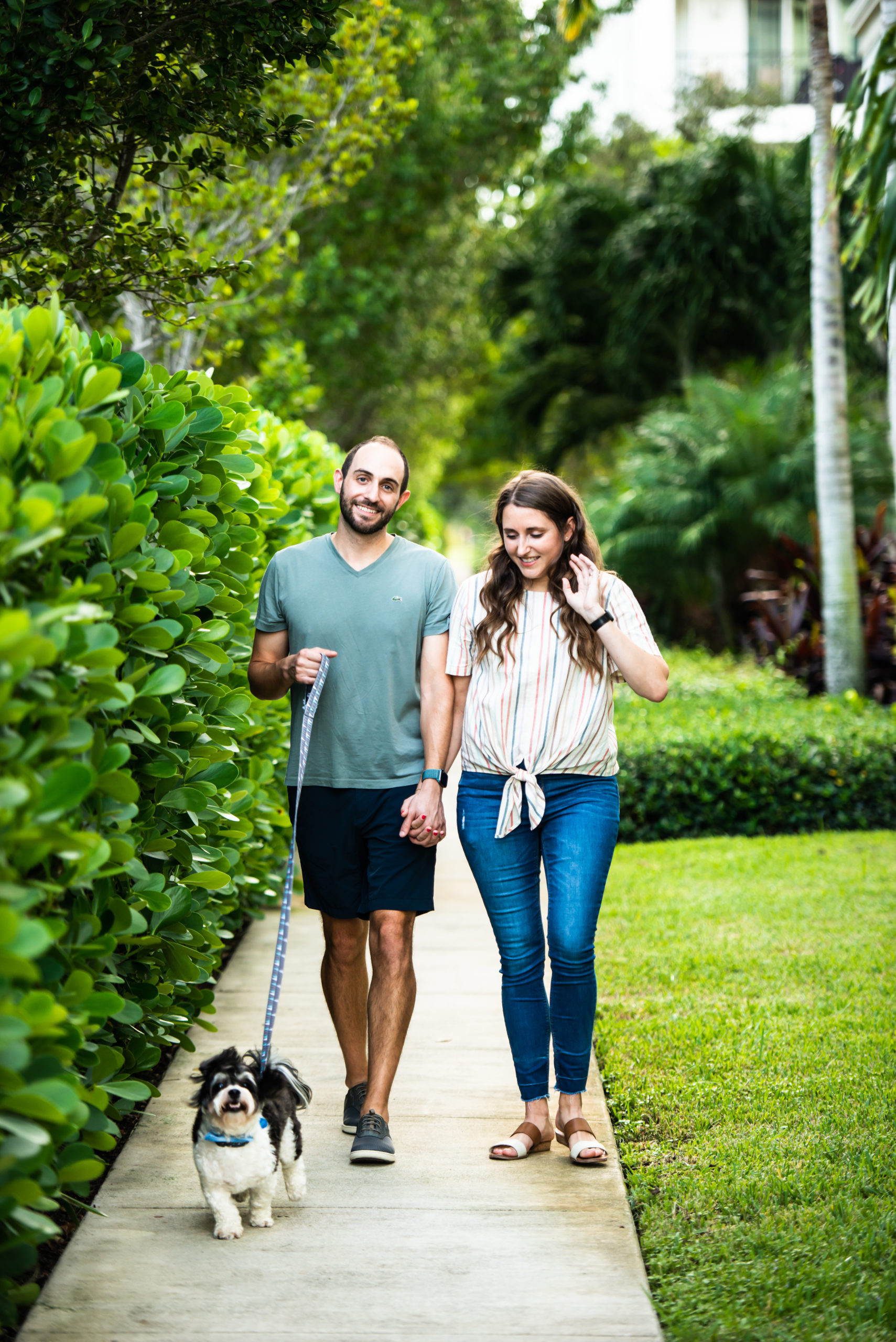 Couple walking dog in Miami Florida