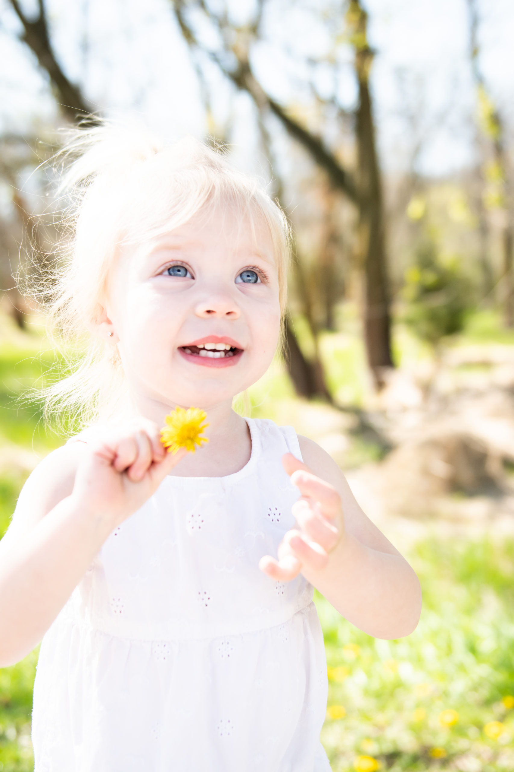 Little girl holding dandelion in Nebraska park